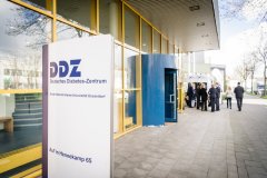 Deutsches Diabetes-Zentrum